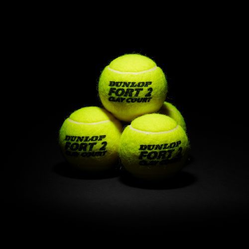Dunlop Fort All Court x4